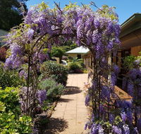 Gumtree House Montville - Accommodation Perth
