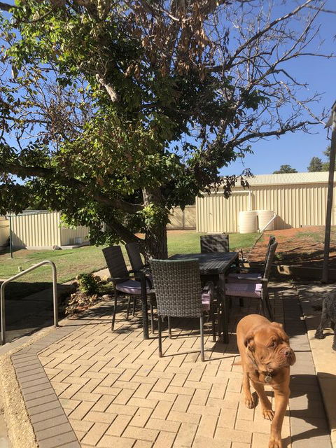 Happy Hours - Accommodation Perth 2