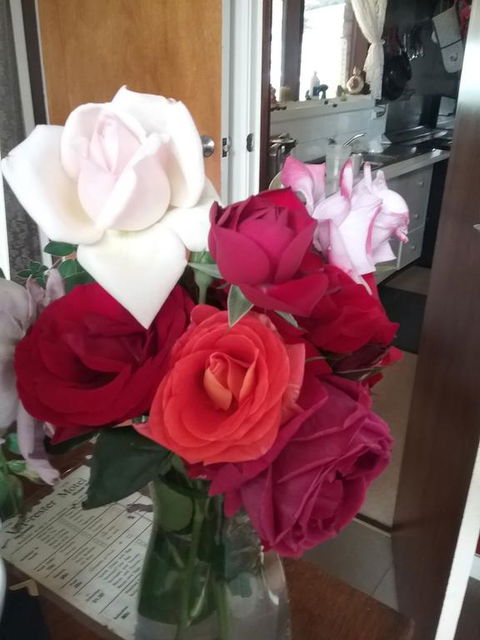 Heywood Motor Inn - Accommodation Perth 2