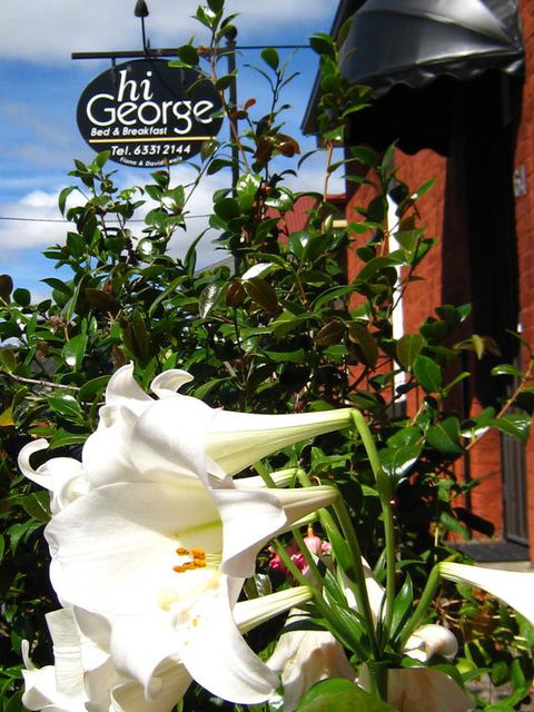 Hi George B&B - Perth Resorts 1