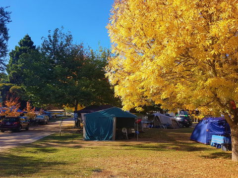 Jamieson Caravan Park - Accommodation Perth 2