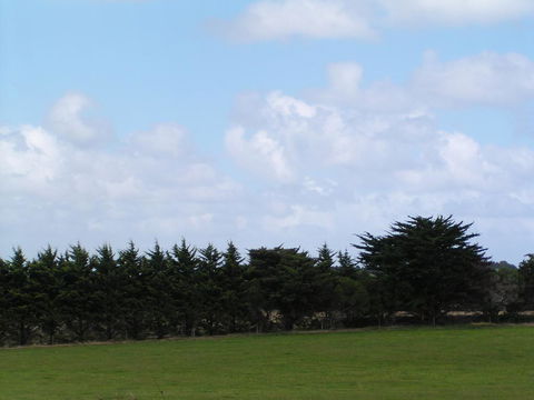 Karingal Homestead B&B - Accommodation Perth 0