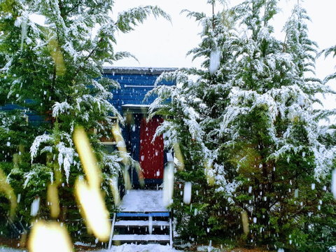 Lakeside Studio - Accommodation Perth 0