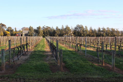 Milawa Vineyard Views - Guesthouse 1 - Accommodation Perth 1