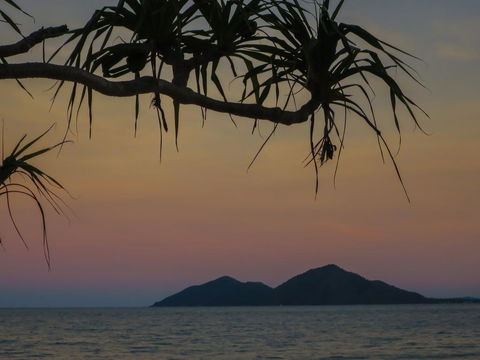 Mission Beach Hideaway Holiday Village - Accommodation Perth 1