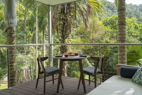 Mist At Cape Tribulation - Accommodation Perth 2