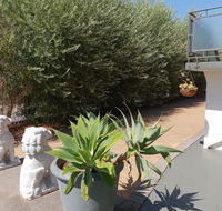 Mt.Lawley superb 2 BR Apartment Ideally located 5 - Accommodation Perth
