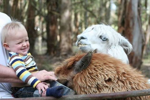 Margaret River Hideaway & Farmstay - Perth Resorts 21