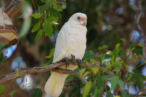 Margaret River Hideaway & Farmstay - Perth Resorts 26