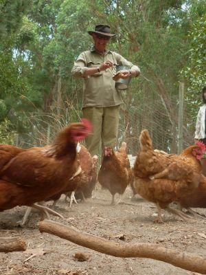 Margaret River Hideaway & Farmstay - Perth Resorts 28