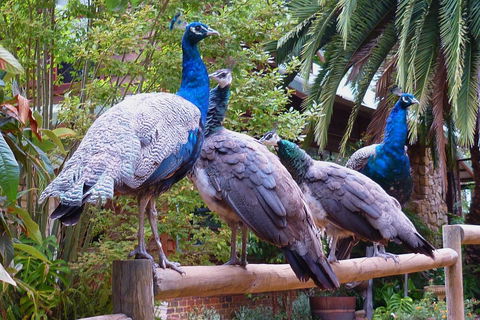 Margaret River Hideaway & Farmstay - Perth Resorts 19