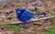 Margaret River Hideaway & Farmstay - thumb 25