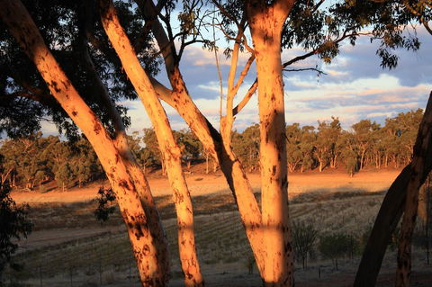 Hotham Ridge Estate - Perth Resorts 30