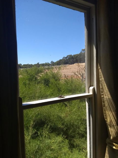 Hotham Ridge Estate - Perth Resorts 8