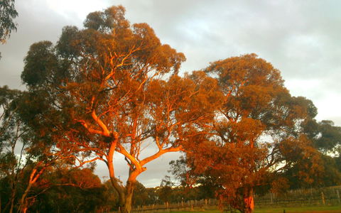 Hotham Ridge Estate - Perth Resorts 35