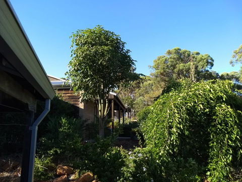 Hotham Ridge Estate - Perth Resorts 5