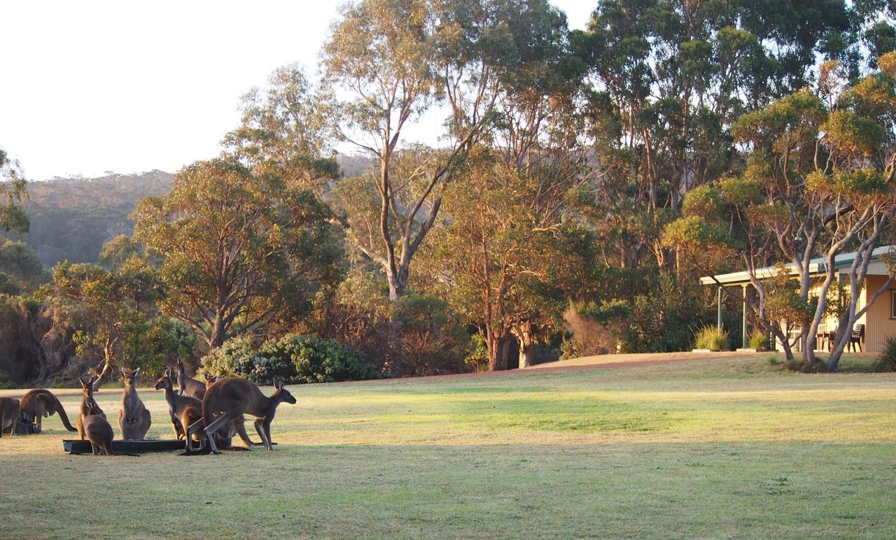 Walpole WA Accommodation Perth