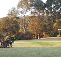 Riverside Retreat Chalets Walpole - Accommodation Perth