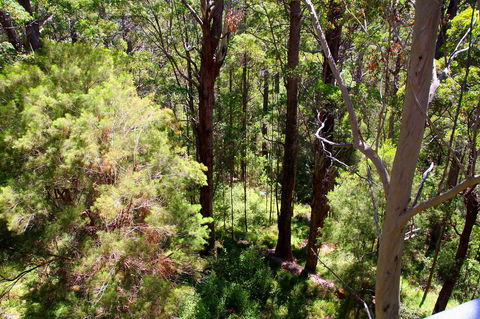 Bayside Villas - Accommodation Perth 5