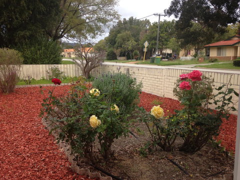 â˜… Stylish Family Home! â˜… - Accommodation Perth 1