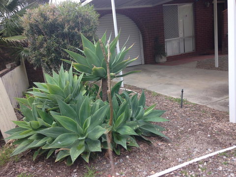 â˜… Stylish Family Home! â˜… - Accommodation Perth 2