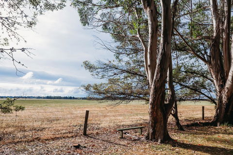 Margaret River Holiday Cottages - Accommodation Perth 22