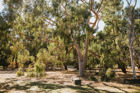 Margaret River Holiday Cottages - Accommodation Perth 16