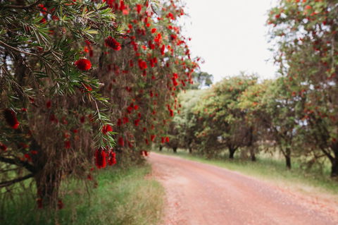 Margaret River Holiday Cottages - Accommodation Perth 17