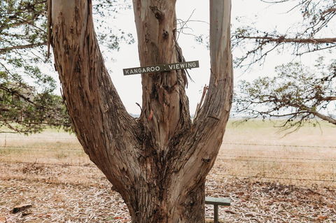 Margaret River Holiday Cottages - Accommodation Perth 20