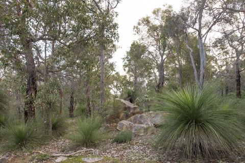 A Hidden Bush Delight - Accommodation Perth 23