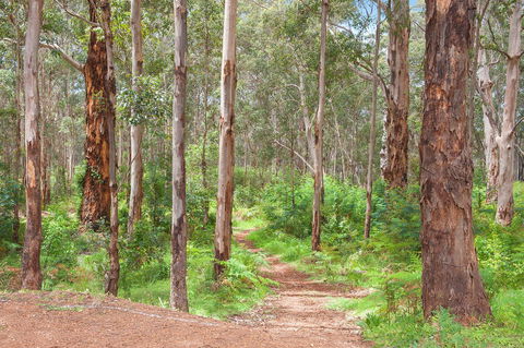 Churchill Studios - Perth Resorts 8