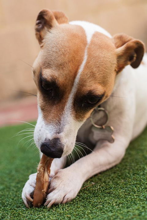 Banksia Tourist Park - Accommodation Perth 18