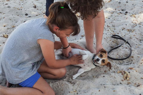 Banksia Tourist Park - Accommodation Perth 27