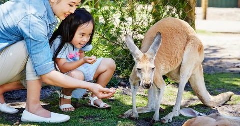 Banksia Tourist Park - Accommodation Perth 29