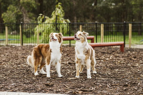 Banksia Tourist Park - Accommodation Perth 16