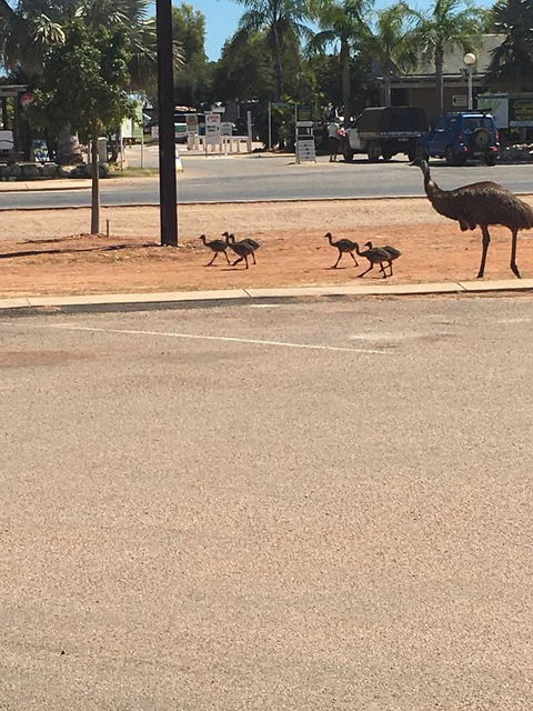 Exmouth 4 Escape - Accommodation Perth 22