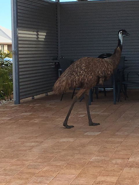 Exmouth 4 Escape - Accommodation Perth 23