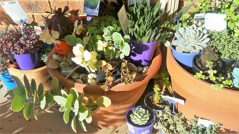 Quest Yelverton Kalgoorlie - Perth Resorts 11