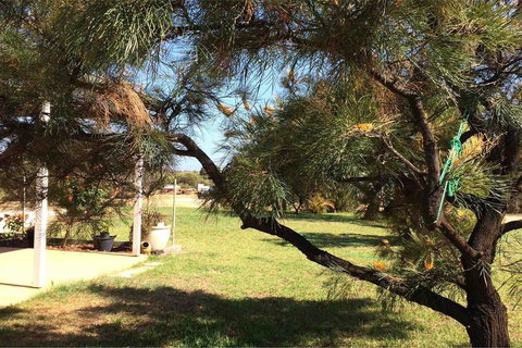 Ocean View Homestead - Accommodation Perth 23