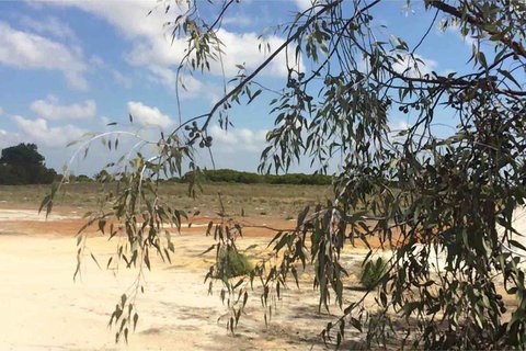 Ocean View Homestead - Accommodation Perth 16