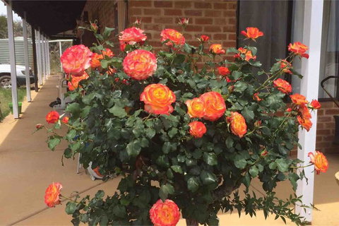 Ocean View Homestead - Accommodation Perth 22