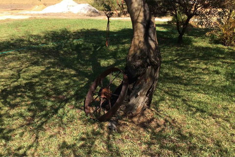 Ocean View Homestead - Accommodation Perth 18