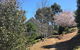 Balingup Highview Chalets - thumb 40