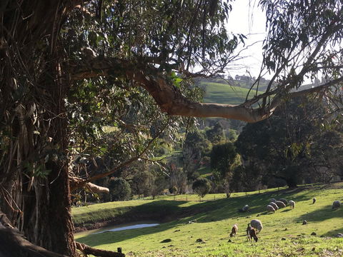 Balingup Highview Chalets - Accommodation Perth 13