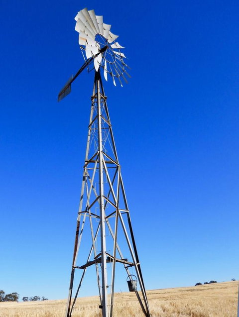 Daisy Cottage - Accommodation Perth 3