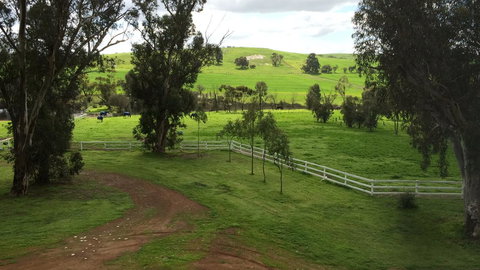 Daisy Cottage - Accommodation Perth 22