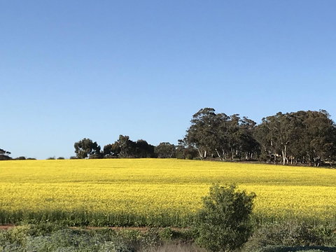 Daisy Cottage - Accommodation Perth 6