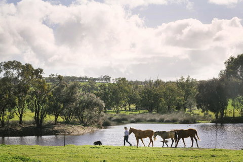 Daisy Cottage - Accommodation Perth 28