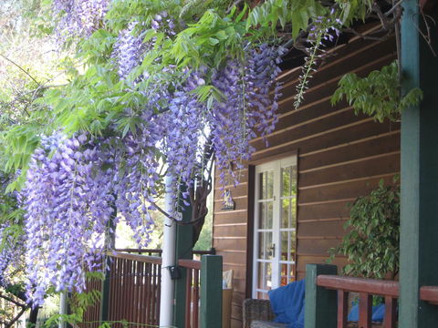 RoseMoore Bed & Breakfast - Perth Resorts 11