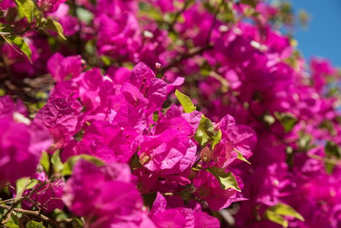 Jurien Bay Hotel Motel - Perth Resorts 3